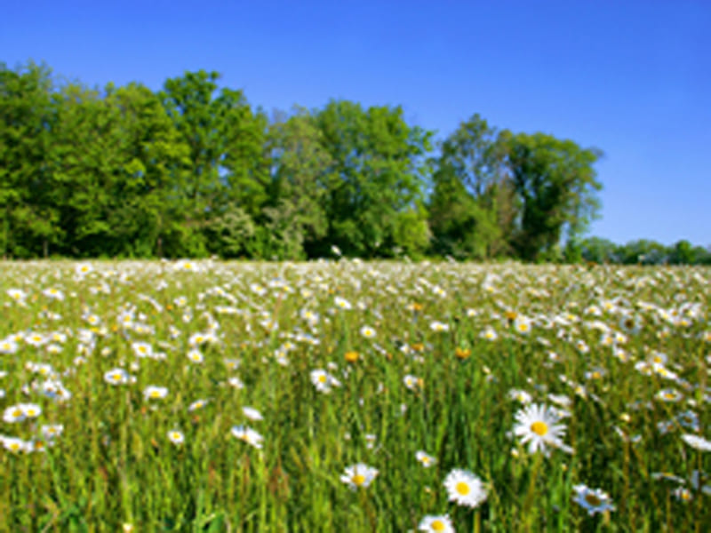 secteur-environnement
